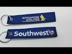 Blauwe Singapore Airlines+Southwest