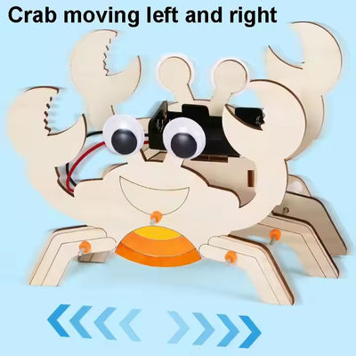 Buy Children Intellectual Training Educational Wooden Toy Early Education School Wooden STEM Toys online manufacture