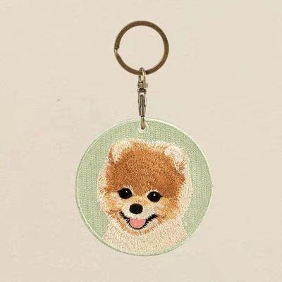 kopen Kleurrijke Pom Sleutelhanger Pluizige Gestikte Glimlach Mintgroene Achtergrond Geheime Code voor Dierenliefhebbers online manufacture