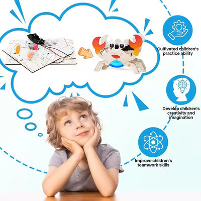 الأطفال التدريب الفكري اللعب الخشبي التعليمي التعليم المبكر المدرسة اللعب الخشبي STEM
